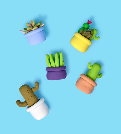 Flores y Plantas: Trío de Cactus