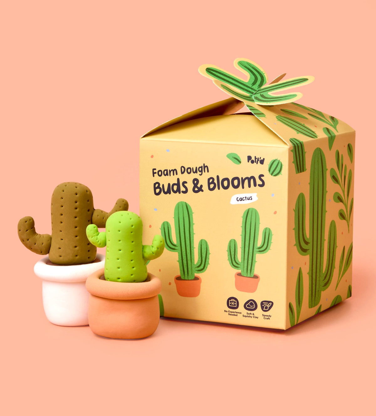 Buds & Blooms: Cactus
