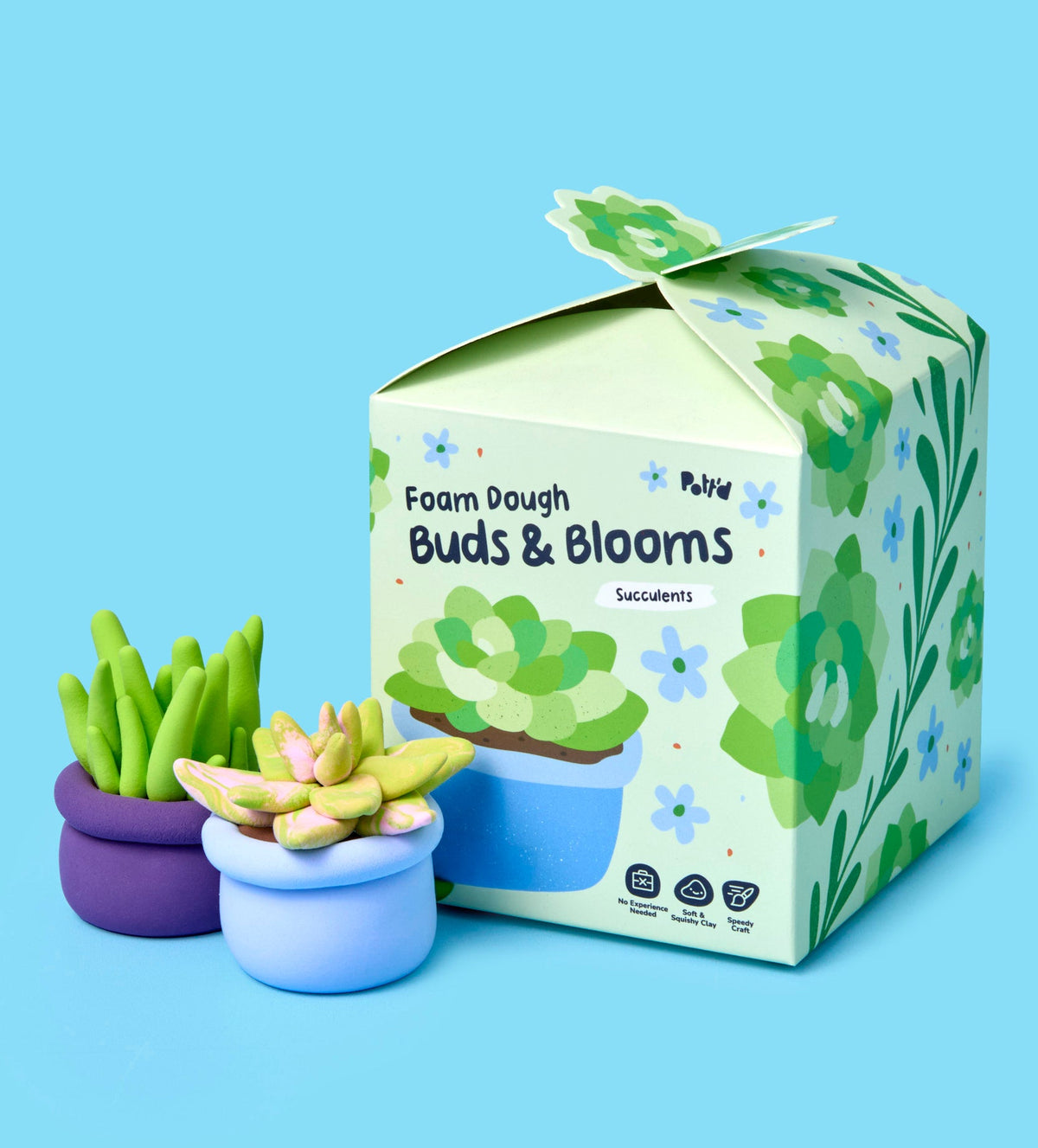 Buds & Blooms: Succulents