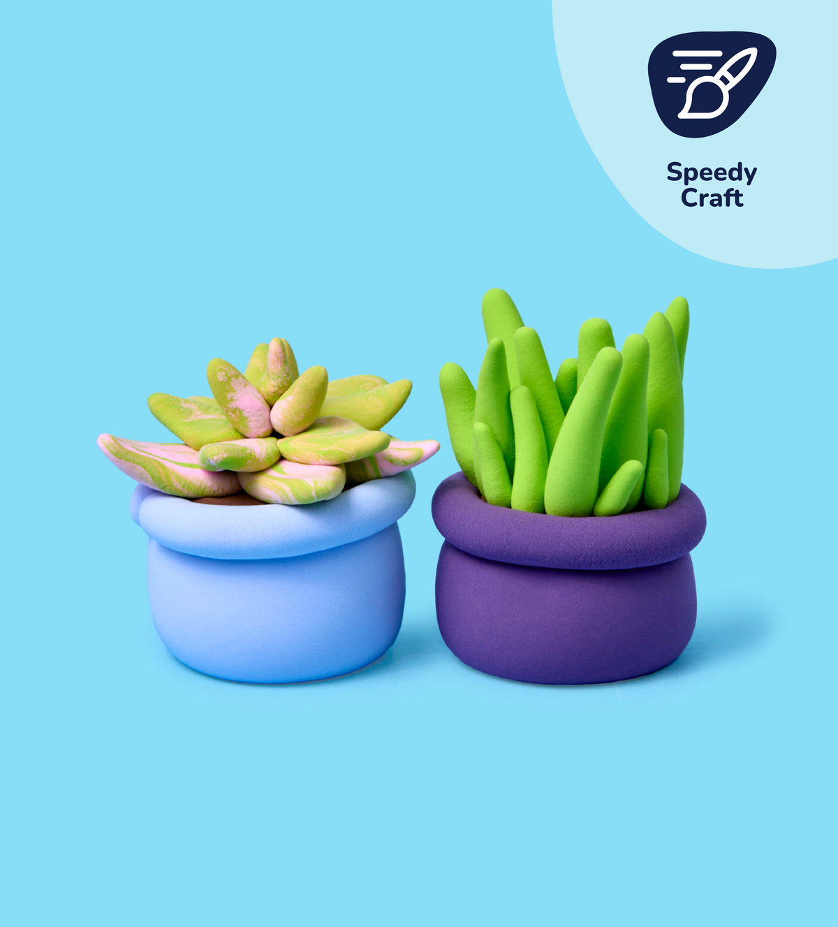 Buds & Blooms: Succulents