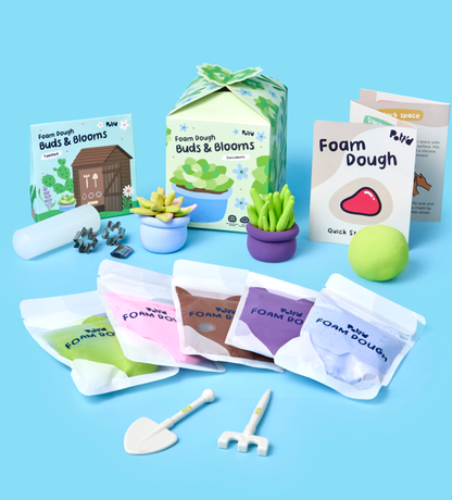 House Plant Bundle