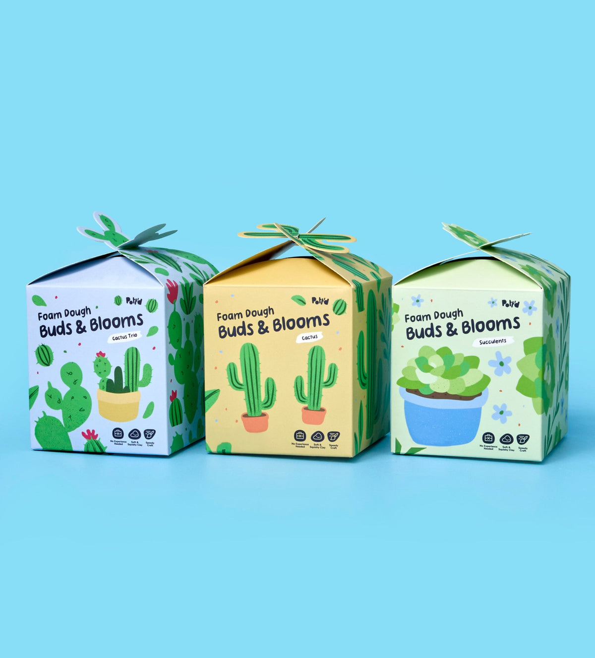 House Plant Bundle