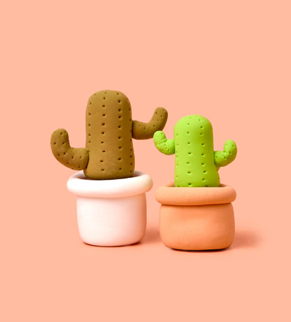 House Plant Bundle