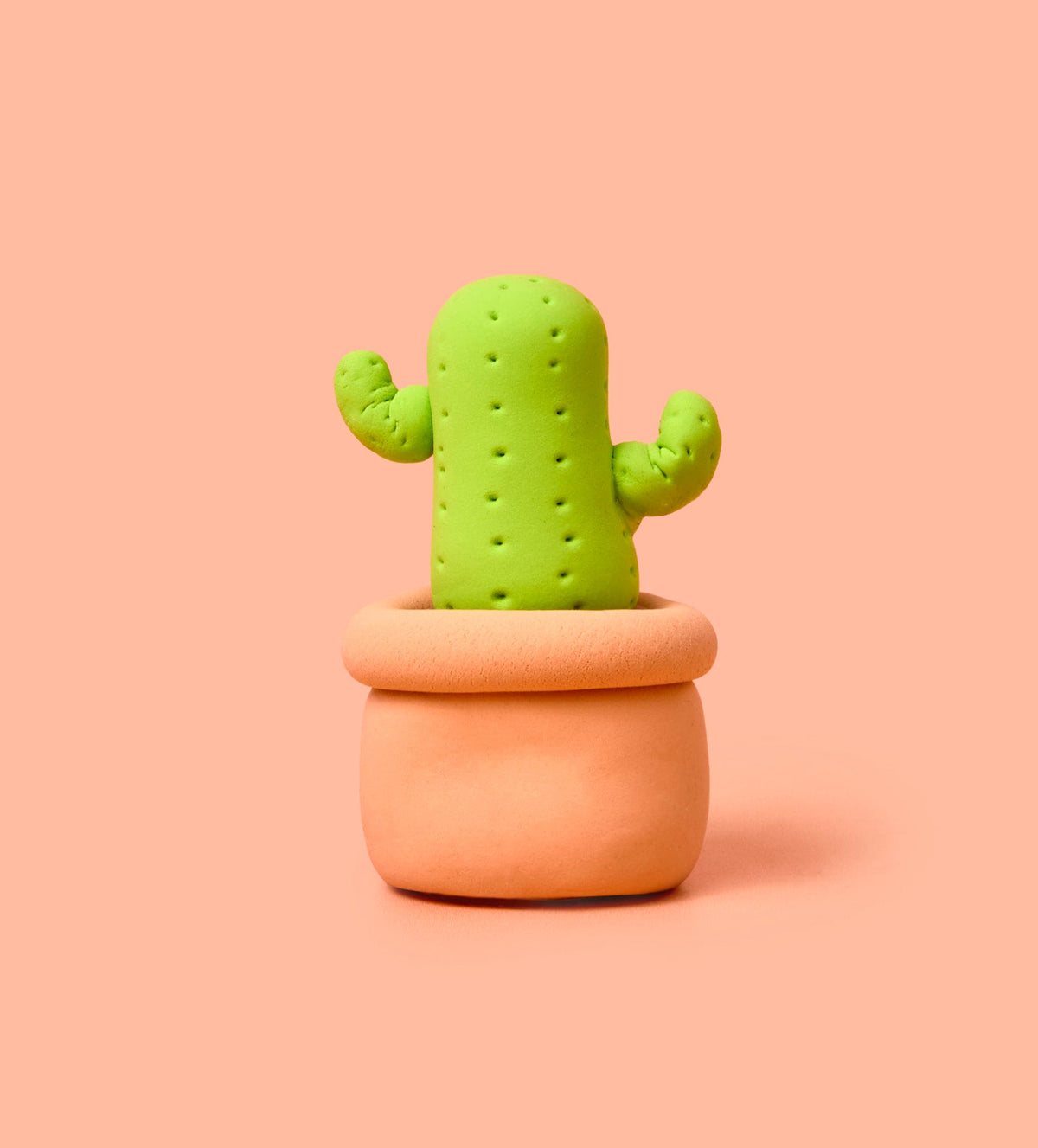 Buds & Blooms: Cactus