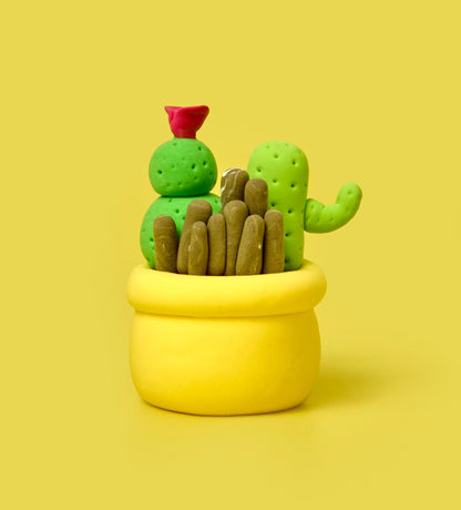 House Plant Bundle