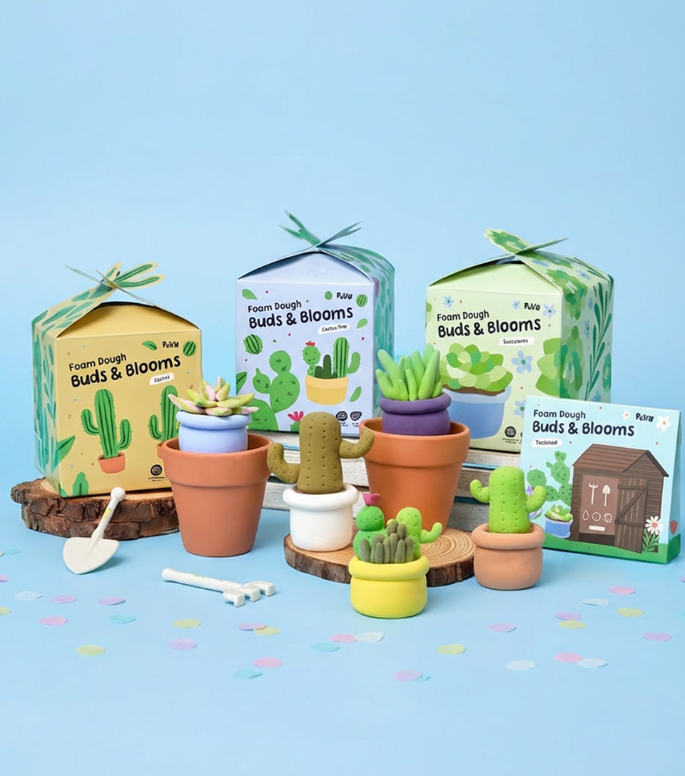 House Plant Bundle